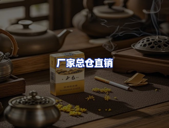 专业团队